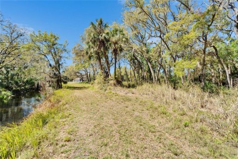 Land in Wimauma, Florida № 1572513 - photo 7