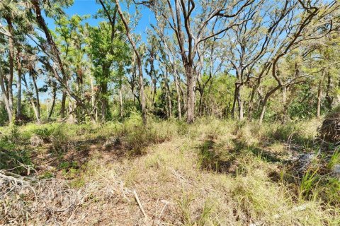 Land in Wimauma, Florida № 1572513 - photo 9