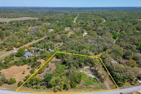 Land in Wimauma, Florida № 1572513 - photo 21