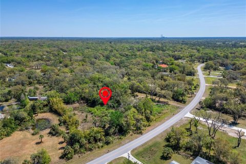 Land in Wimauma, Florida № 1572513 - photo 18