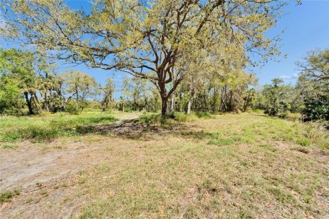 Land in Wimauma, Florida № 1572513 - photo 4