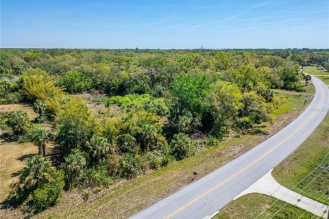 Land in Wimauma, Florida № 1572513 - photo 13