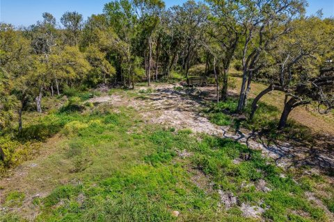 Land in Wimauma, Florida № 1572513 - photo 22