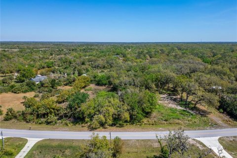 Land in Wimauma, Florida № 1572513 - photo 17