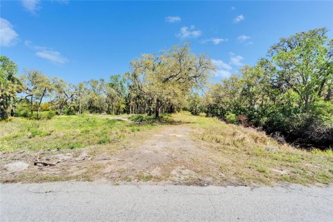 Land in Wimauma, Florida № 1572513 - photo 1