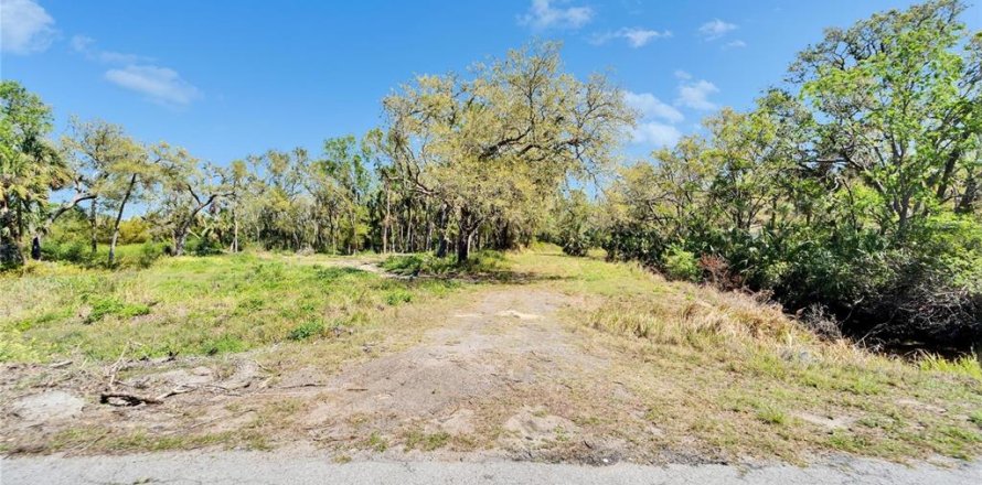 Land in Wimauma, Florida № 1572513