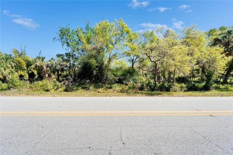Land in Wimauma, Florida № 1572513 - photo 8