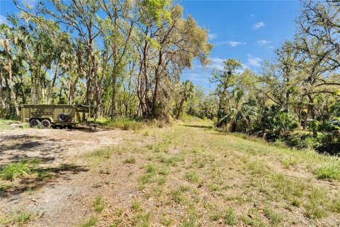 Land in Wimauma, Florida № 1572513 - photo 5