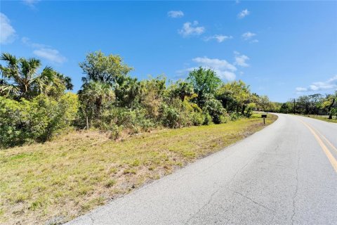 Land in Wimauma, Florida № 1572513 - photo 3