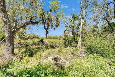 Land in Wimauma, Florida № 1572513 - photo 11