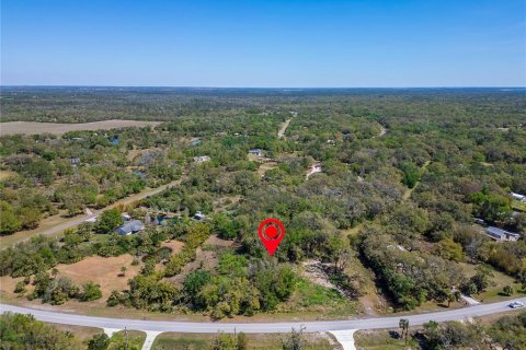 Land in Wimauma, Florida № 1572513 - photo 20