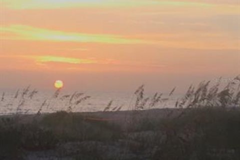 Land in St. Lucie, Florida № 251616 - photo 1