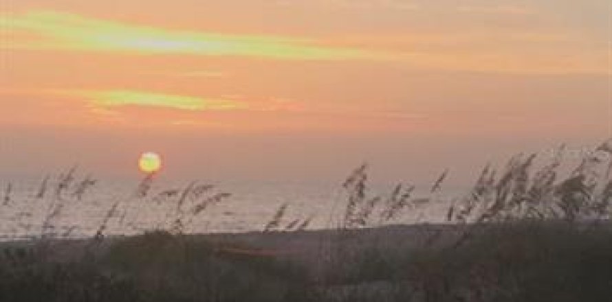 Land in St. Lucie, Florida № 251616