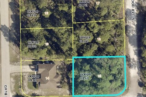 Land in Lehigh Acres, Florida № 2163269