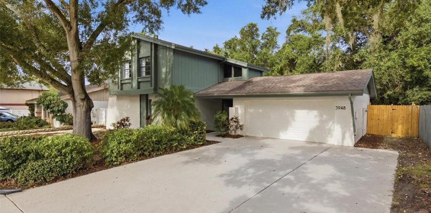 House in Palm Harbor, Florida 3 bedrooms, 188.22 sq.m. № 2206910