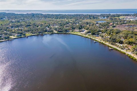 Villa ou maison à vendre à Tarpon Springs, Floride: 3 chambres, 122.07 m2 № 1527146 - photo 21