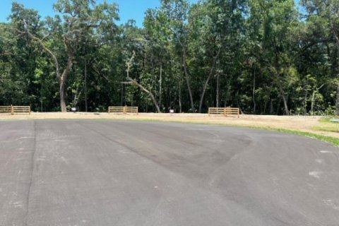 Land in Brooksville, Florida № 1044247 - photo 15