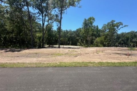 Land in Brooksville, Florida № 1044247 - photo 4
