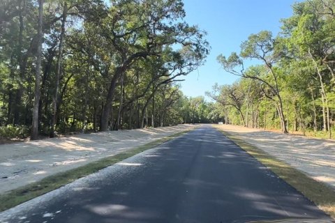 Land in Brooksville, Florida № 1044247 - photo 12