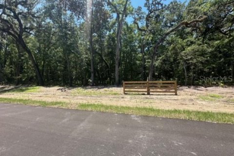 Land in Brooksville, Florida № 1044247 - photo 19