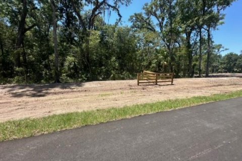 Land in Brooksville, Florida № 1044247 - photo 3