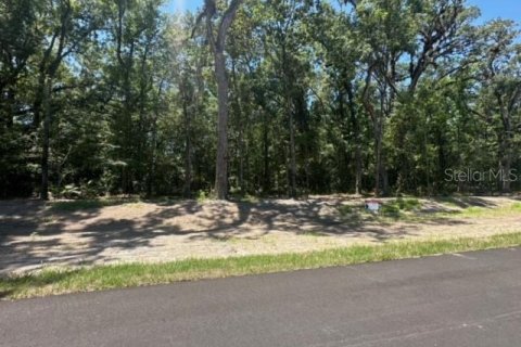 Land in Brooksville, Florida № 1044247 - photo 24