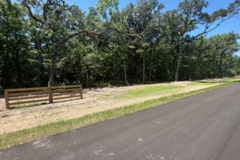 Land in Brooksville, Florida № 1044247 - photo 20