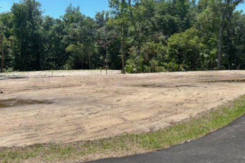 Land in Brooksville, Florida № 1044247 - photo 11