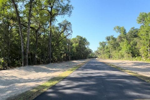 Land in Brooksville, Florida № 1044247 - photo 9