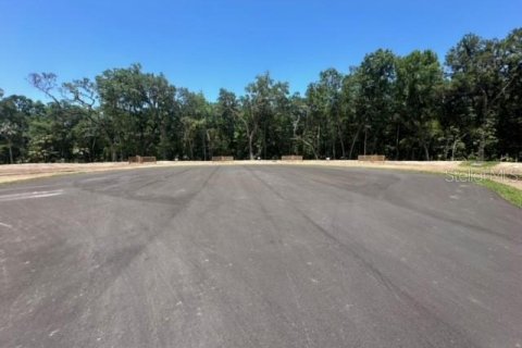 Land in Brooksville, Florida № 1044247 - photo 13