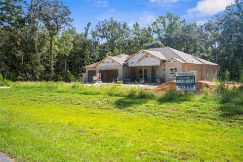 Land in Brooksville, Florida № 1044247 - photo 25