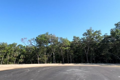 Land in Brooksville, Florida № 1044247 - photo 5