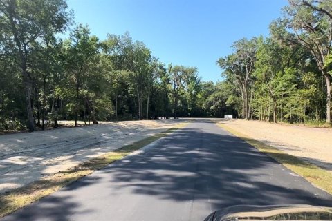 Land in Brooksville, Florida № 1044247 - photo 10