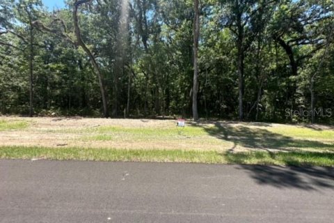 Land in Brooksville, Florida № 1044247 - photo 18