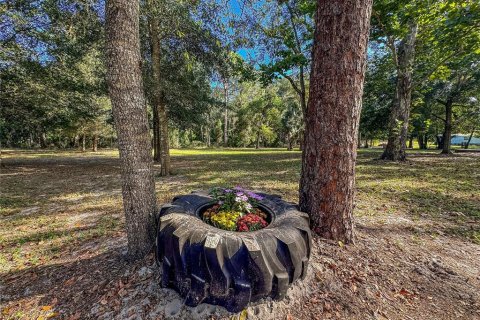 Land in Brooksville, Florida № 2395976 - photo 17
