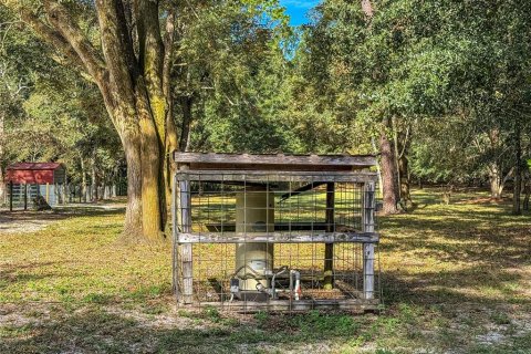 Land in Brooksville, Florida № 2395976 - photo 5