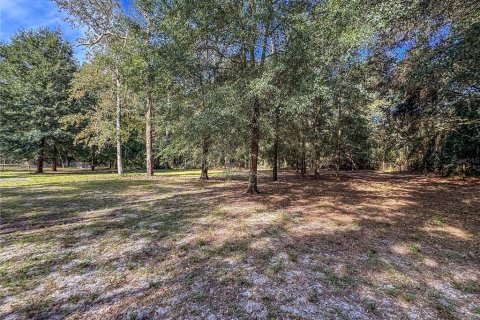 Land in Brooksville, Florida № 2395976 - photo 25