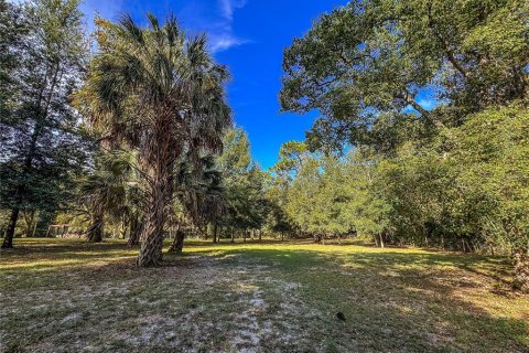 Land in Brooksville, Florida № 2395976 - photo 4