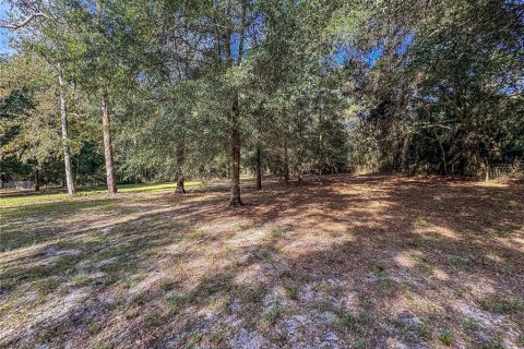 Land in Brooksville, Florida № 2395976 - photo 24