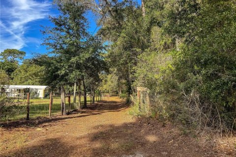 Land in Brooksville, Florida № 2395976 - photo 11