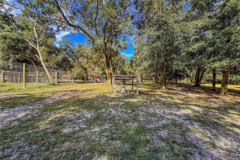 Land in Brooksville, Florida № 2395976 - photo 14