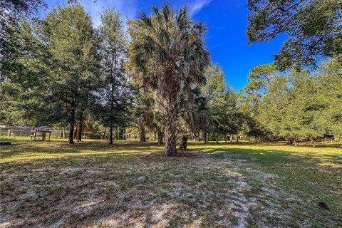 Land in Brooksville, Florida № 2395976 - photo 12