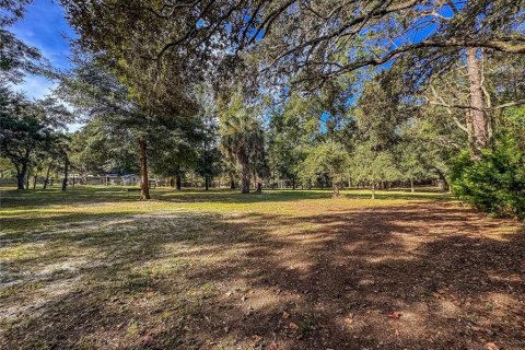 Land in Brooksville, Florida № 2395976 - photo 28