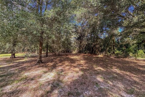 Land in Brooksville, Florida № 2395976 - photo 23