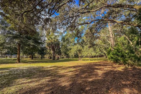 Land in Brooksville, Florida № 2395976 - photo 27