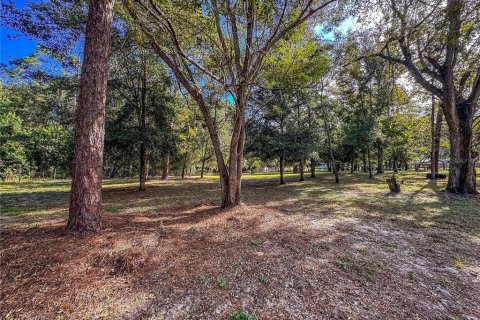 Land in Brooksville, Florida № 2395976 - photo 20