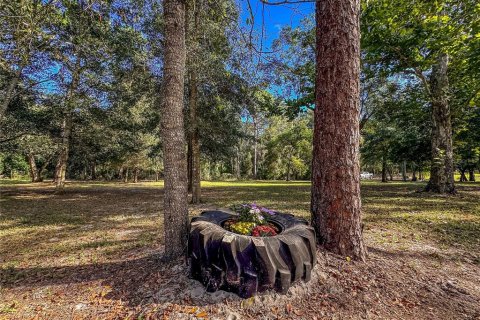 Land in Brooksville, Florida № 2395976 - photo 18