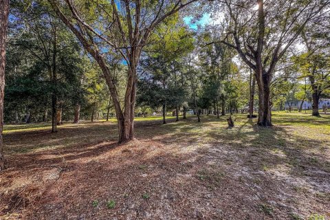 Land in Brooksville, Florida № 2395976 - photo 19