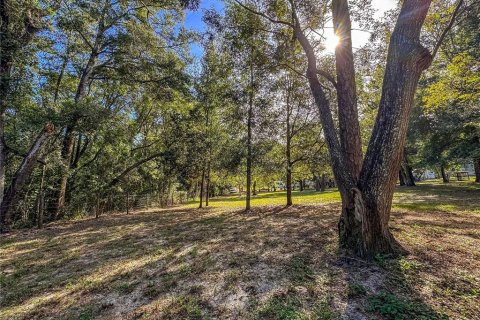 Land in Brooksville, Florida № 2395976 - photo 26