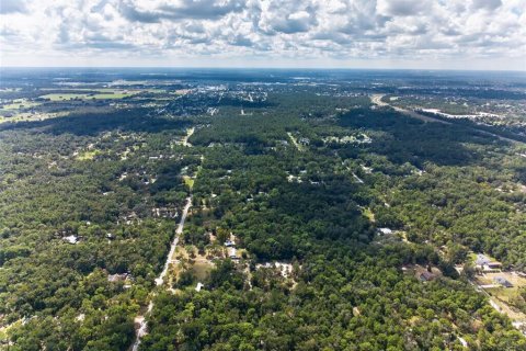 Land in Brooksville, Florida № 2395976 - photo 3